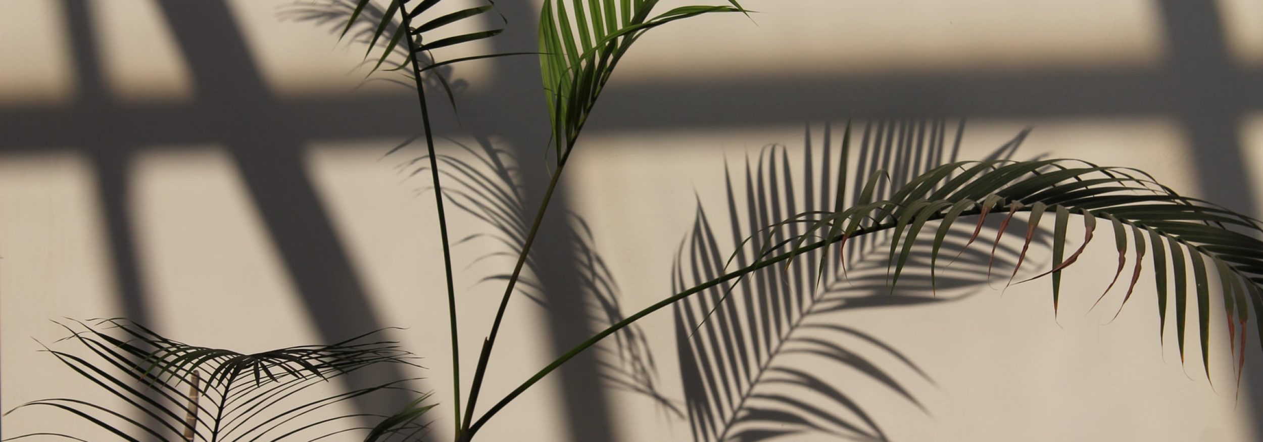 marra-hpx01Hfs9QY-unsplash